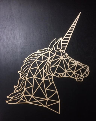 Geometric Unicorn